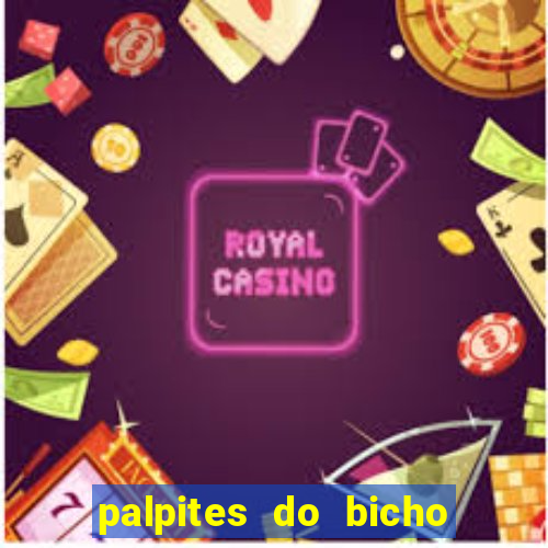 palpites do bicho no celular